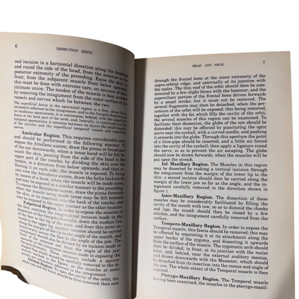 The Concise Grays Anatomy Book by C.H. Leonard AM MD Chartwell Books 1983  Omega - Picture 10 of 16